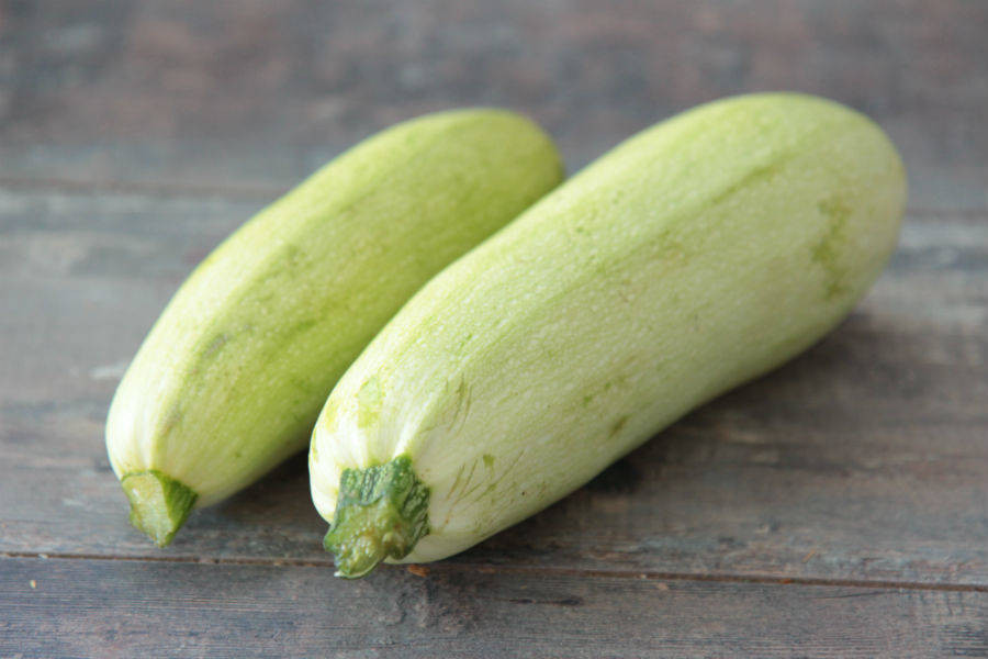 Courgettes blanches Bio