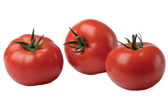 Tomates classiques rondes  BIO