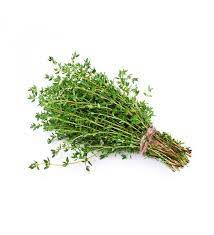 Thym bouquet Bio