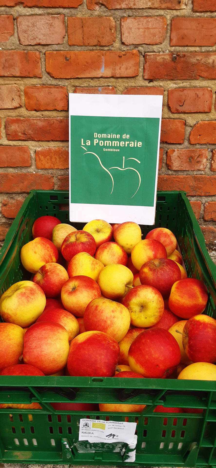 Pommes Raijka Bio
