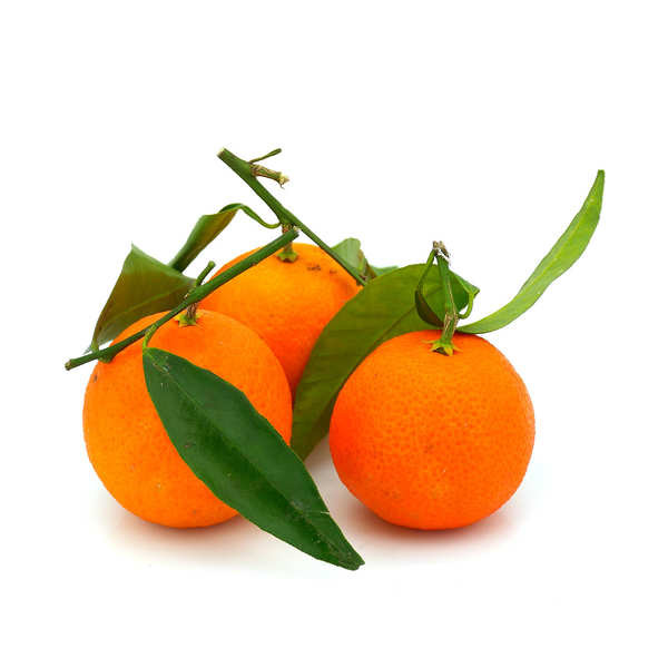 Mandarine Clemenville Bio - sans feuille