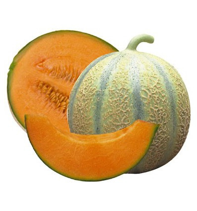 Melons charentais Bio